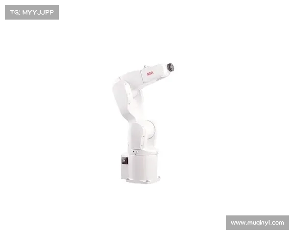 ABB:中国迈入机器人发展新阶段 ABB:中国迈入机器人发展新阶段